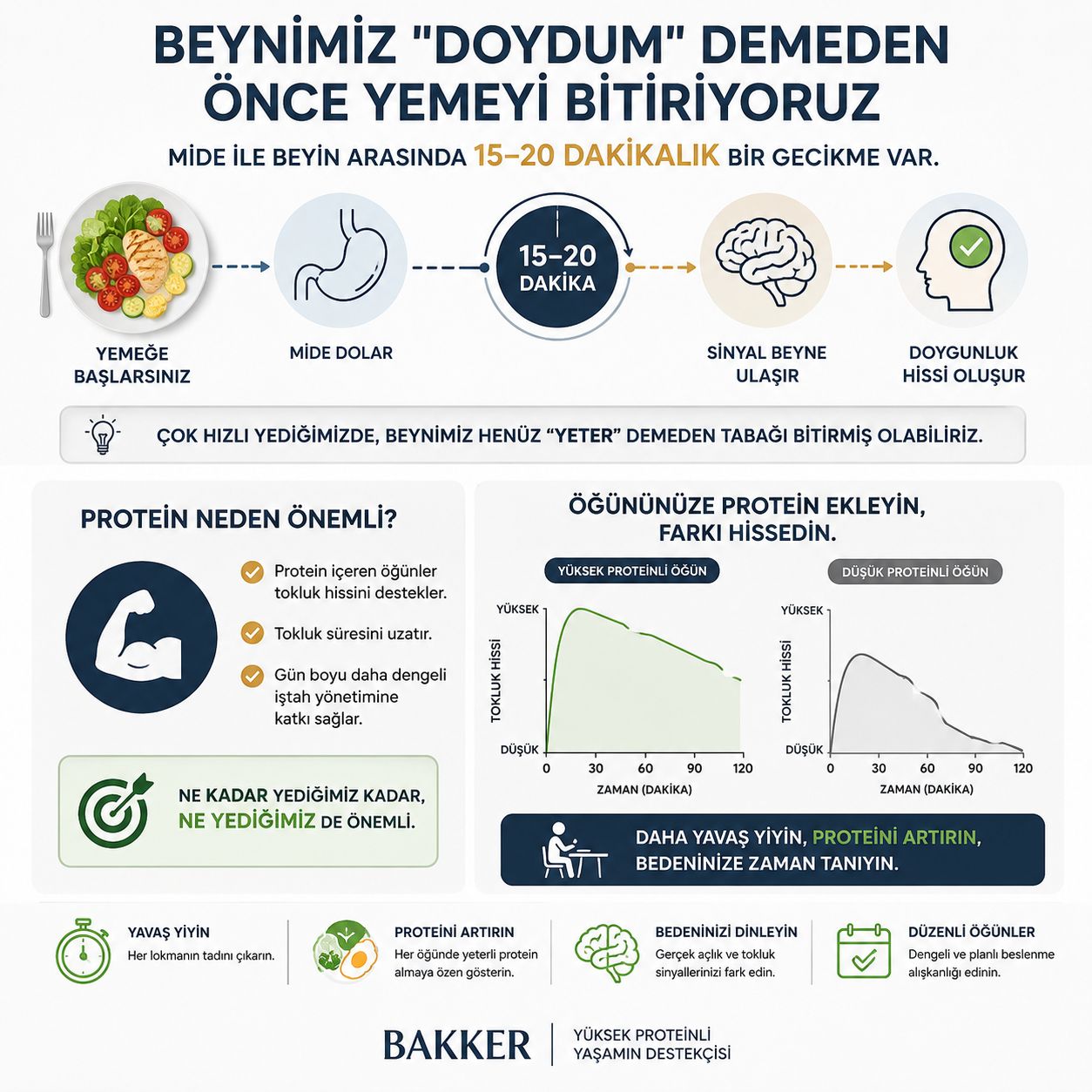 BEYİN VE MİDE ARASINDAKİ HIZ FARKI VE PROTEİNİN TOKLUK GÜCÜ